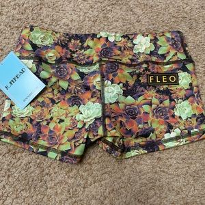 FLEO NWT Dark Succulents